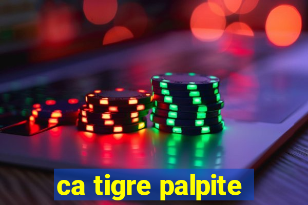 ca tigre palpite